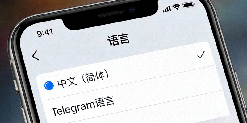 Telegram纸飞机APP汉化包安装教程配图 - 语言设置界面特写